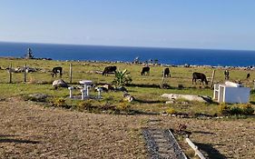 Wild Coast Grosvenor Holiday Home